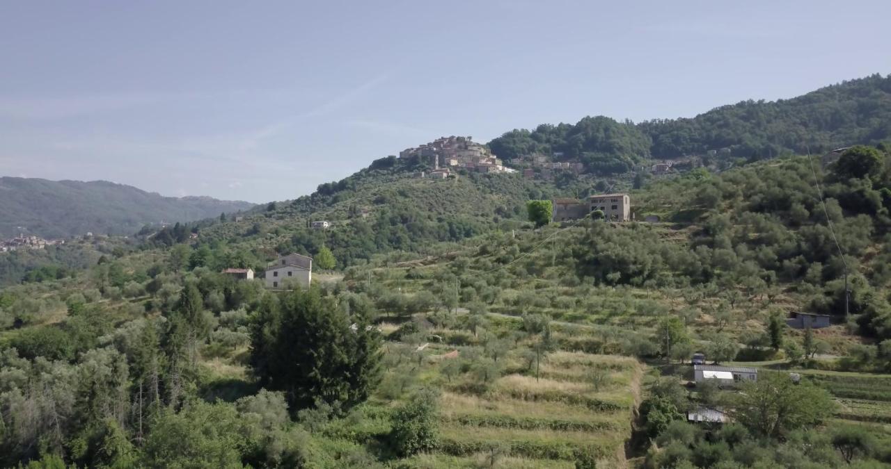 Luxury Villa In Tuscany - Casa Di Nonnas Pescia Exterior photo